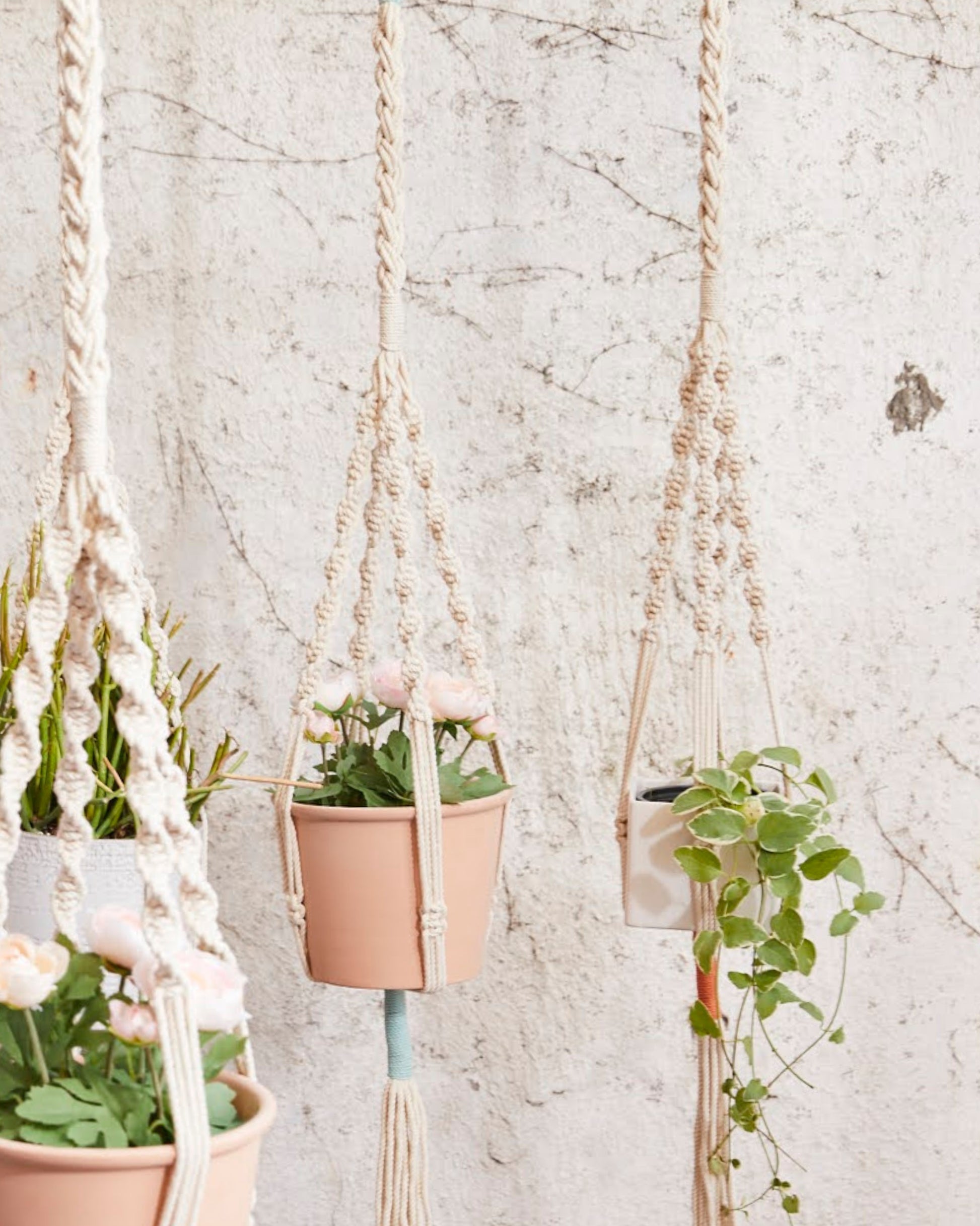 macrame plant hanger 3mm cord PILLOWPIA Trina Macrame Plant Hanger Sage
