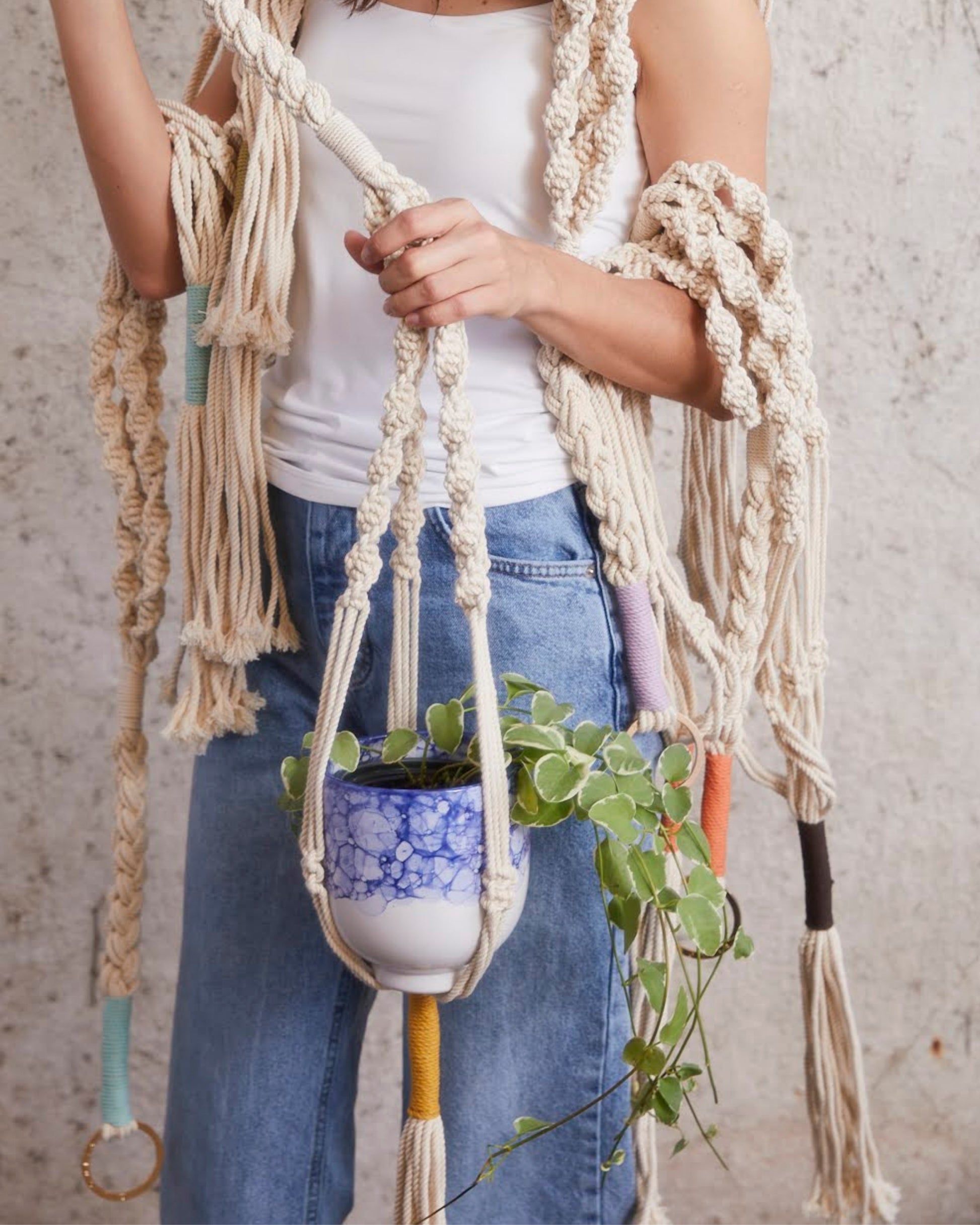 rope planter hanger Trina Macrame Plant Hanger Thistle
