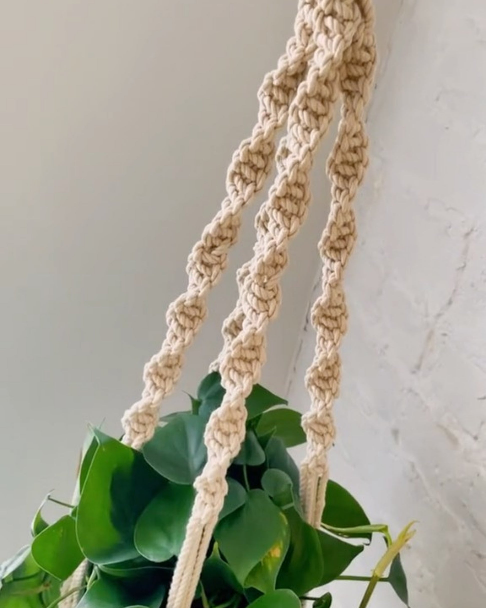 macrame plant hanger flat Trina Macrame Plant Hanger Thistle