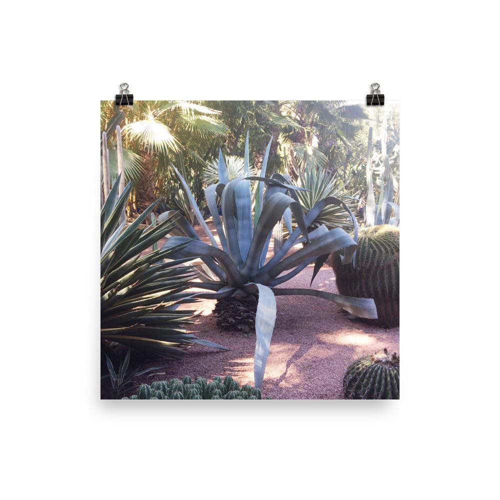cactus majorelle art print 18